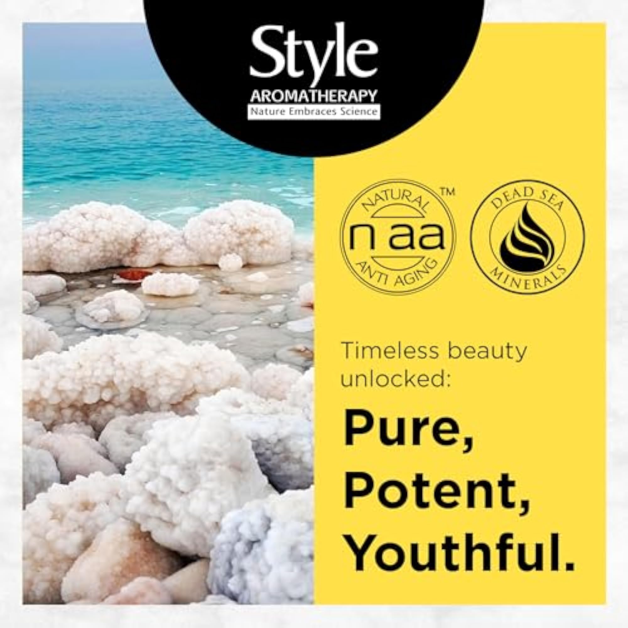 Professional Moroccan Argan Hair Mask with Antioxidants
