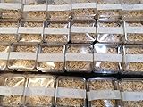 ANEWSIR Zoo-Papp Bienenmaden lebend XXL 250 Stück Wachsmaden Lebendfutter Reptilien | lebende Maden zum Angeln | Futtertiere lebend Maden Angeln lebend Maden lebend Wachsmottenlarven lebend