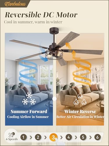 Image of Fanbulous 60 Inch Farmhouse Rustic Ceiling Fan with Light & Remote