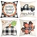 Anickal Set of 4 Halloween Decorative Throw Pillow Covers with Scary Skull Black Cat and Witch Design 18 x 18 Inches for Halloween