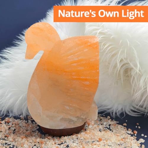 Image of Swan Shaped Salt Rock Lamp - Authentic Himalayan Salt Lamp Comes with a Wooden Base - Hand Carved Premium Finish, Amber