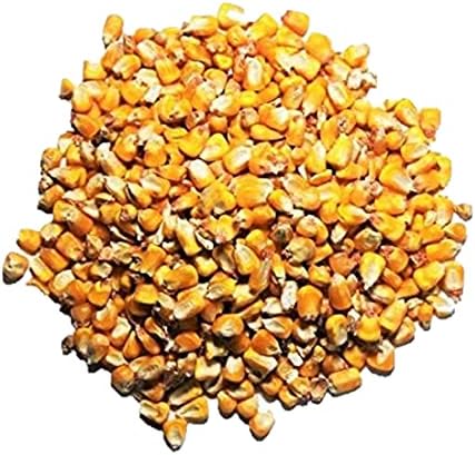 Premium Whole Corn Feed for Deer, Squirrels, Birds, Beef Cattles, Wildlife - 10LB (Double-Sealed)