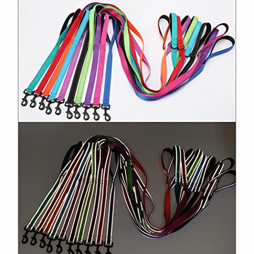 Double Handle Dog Leash Real World Use
