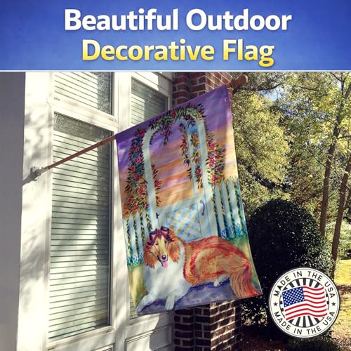 Collie Flag Canvas House Size drapeau extérieur résistant aux intempéries - 4