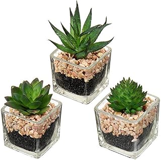 Briful Artificial Succulents Fake Succulent Plants Potted in Mini Square Clear Glass Pots Set of 3 Faux Succulents Small Artificial Succulent Plants Great for Office Home Decor