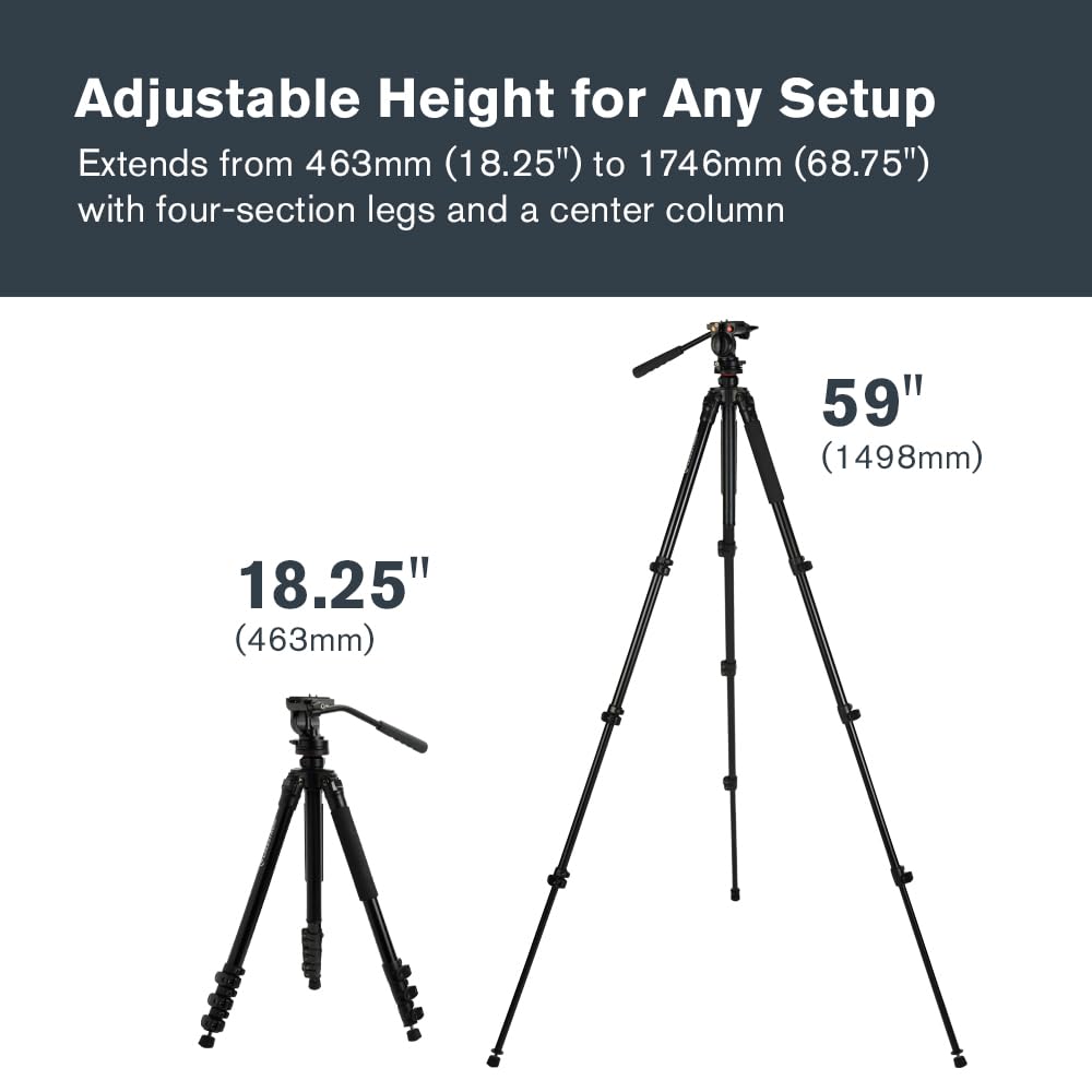 Celestron 82052 Regal Premium Statyw do lunet obserwacyjnych, lornetek, aparatów fotograficznych i małych teleskopów, czarny