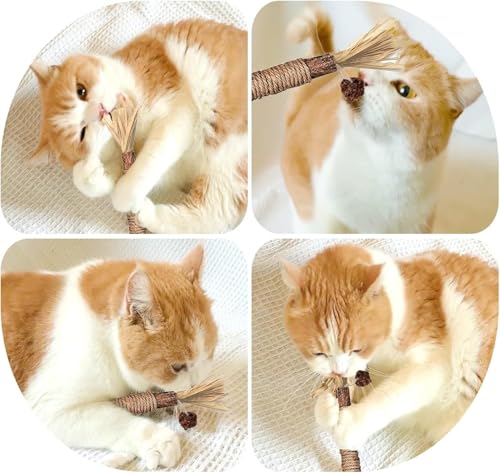 Simsky Katzenminze Sticks für Zahnpflege, 6 Stück, Kausticks für Katzen Zahnstein & Mundgeruch intelligenzspielzeug,Spielzeug Katzen selbstbeschäftigung