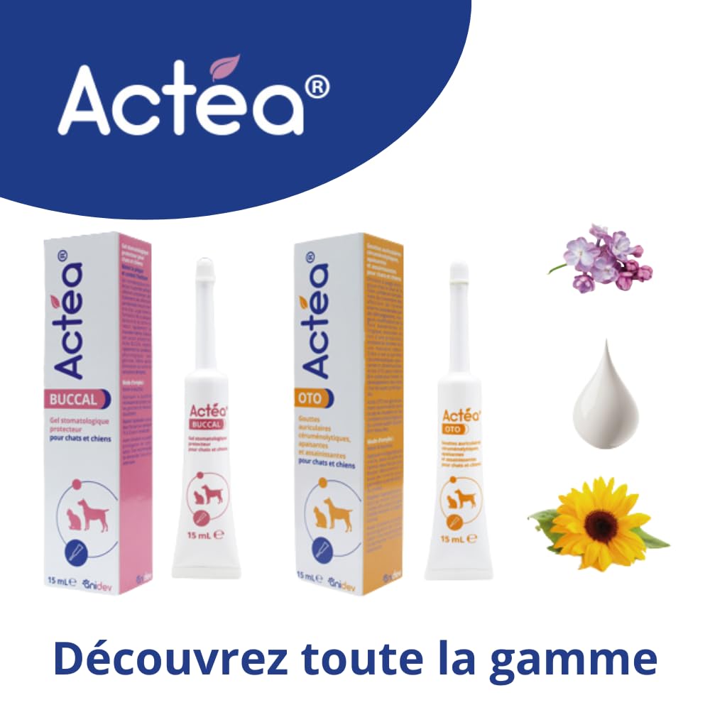 Anidev Actéa Buccal - Gel apaisant gencives Chien et Chat - Hygiène bucco Dentaire - Limite Plaque tartre et Mauvaise haleine - Effet apaisant réparateur et Protecteur 15 ML