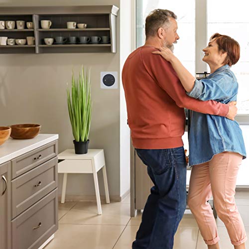 Vanguard Dynamics Vail Amp - In Wall Flush Mount Stereo 60Watt Amplifier For Echo Dot 2Nd Generation #TOP6