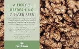 Fever-Tree Refreshingly Light Ginger Beer 6x150ml (Pack of 4, Total 24 Cans) - Image 3