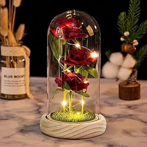 Axlksia Beauty and The Beast Rose Gift for Her, Glass Rose for Mom, Red Silk Rose Lasts Forever in A Glass Dome, Enchanted Red Silk Rose Gift for Mom Mother’s Day Anniversary Decorations