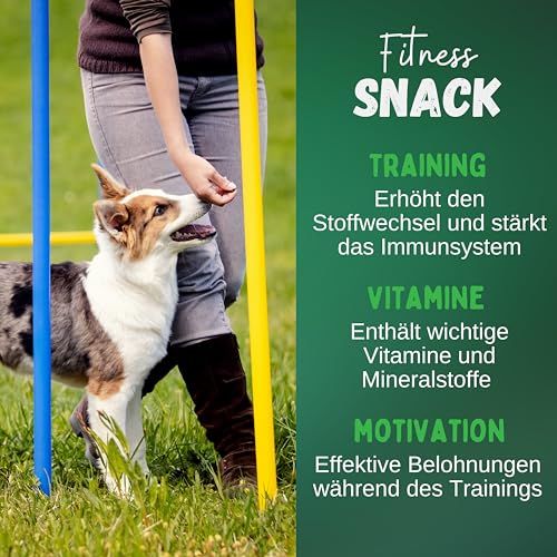 BREERs Rinderlunge für Hunde getrocknet 1 Kg aus eigener Deutscher Herstellung, Kauartikel für Groß & Klein, Lunge Hundesnack in ausgezeichneter Qualität
