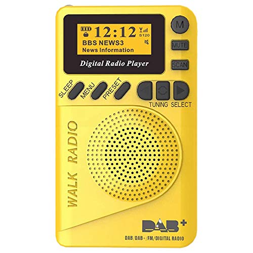 Professionelle Tragbares Mini-Radio, Pocket Radio Tragbares DAB Digital Radio Wiederaufladbare FM Radio-LCD-Display-Lautsprecher Für Den Walk Run Oder