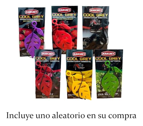 Shampoo para carros interior 14 Imagen adicional