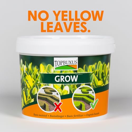 Topbuxus Grow - Professional Boxwood Fertilizer - 5Kg For 100M2 Boxwood - No Yellow Leaves - 2