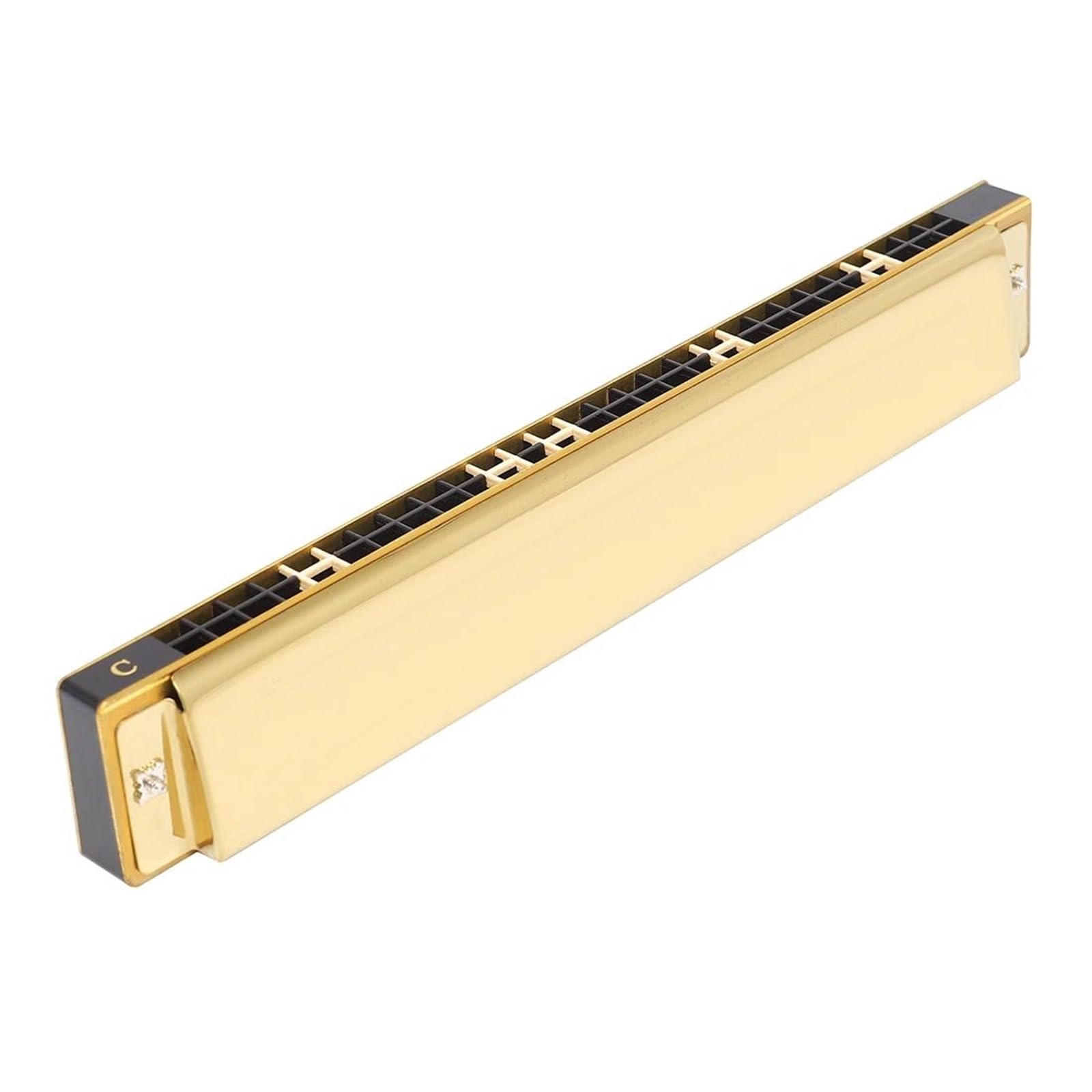 Armonica Blues Armonica A 28 Fori C Professionale | Armonica a 28 fori Polifonia C Principianti Strumenti a fiato professionali(Gold)