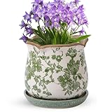Xoogifae Ceramic-Planters-for-Indoor-Plants with Saucer, 6 inch Vintage Ice Crack Glaze Plant Pots with Drainage Holes, Decorative Flower Pots for Outdoor Garden Home Decor, Tuscan Pot for Plant
