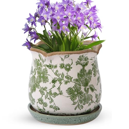 Xoogifae Ceramic-Planters-for-Indoor-Plants with Saucer, 6 inch Vintage Ice Crack Glaze
