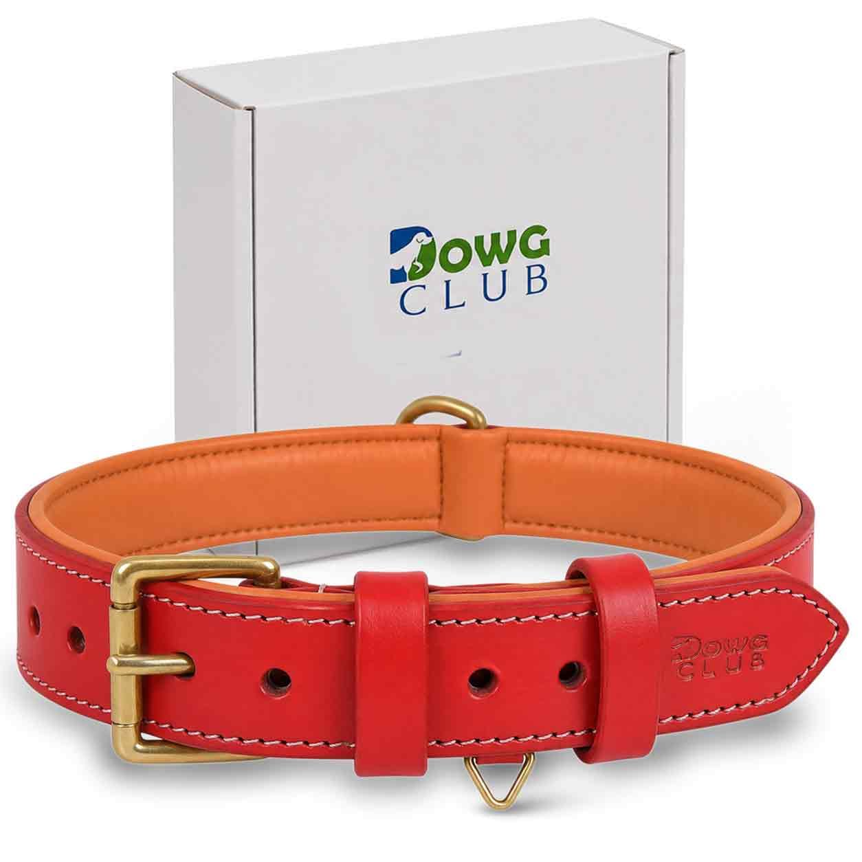 DowgClub Genuine Leather Dog Collar, Red, Medium, Brass Buckle, Padded