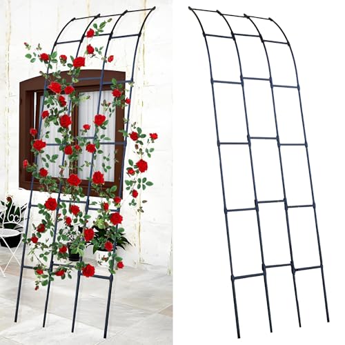 Treillis d'arche de jardin en acier revêtu durable pour extérieur