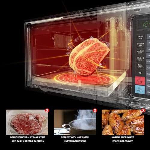 Commercial Rotisserie Oven Countertop