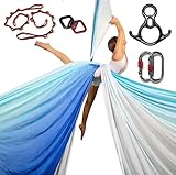 DASKING Premium Aerial Silks Equipment - Safe Deluxe Aerial kit (Multicolor-D)