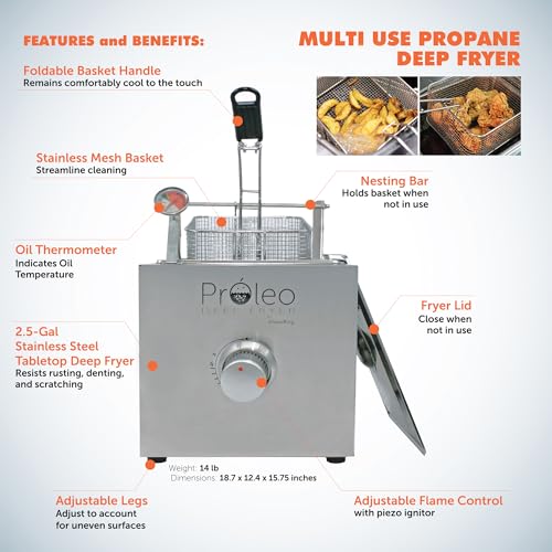 Flame King Proleo Tabletop Propane Deep Fryer の商品画像 2