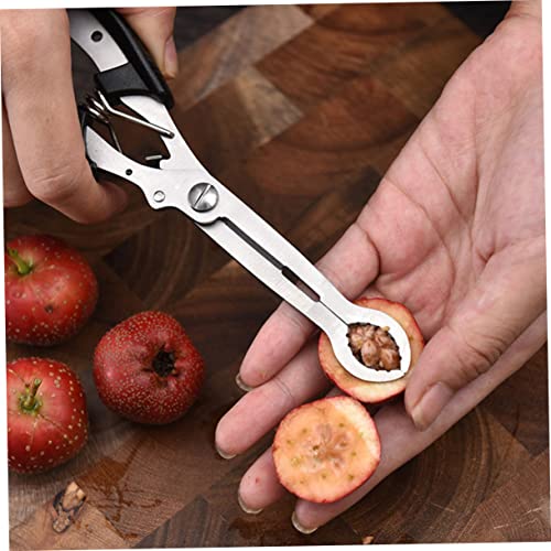 Luxshiny Prático Porta-Frutas Tâmaras Azeitona Cereja Tesoura Profissional Aço De Cozinha Ferramenta