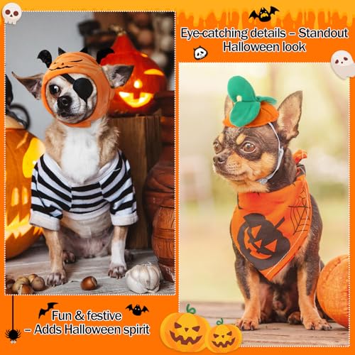 Disfraz para perro y gato Halloween con sombreros calabaza x6 miniatura 6