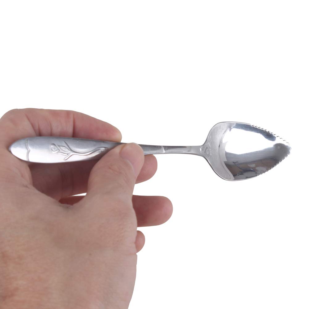 4 Cuillères à Pamplemousse Zicome - Acier Inoxydable 12,7cm - Bords Dentelés Pour Fruits