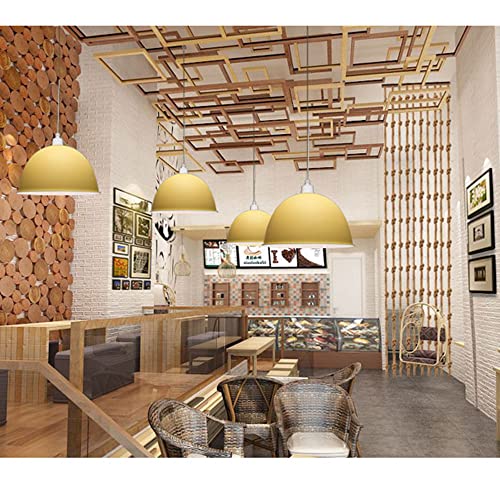 Luces de la isla E27 tipo lámpara colgante decorativa con cubierta de luz de techo moderna 6