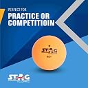 Stag Iconic 1 Star Ping Pong (T.T) Balls| Advanced 40+mm Table Tennis Balls for Training, Tournaments and Recreational Play| Highly Durable for Indoor/Outdoor Game-Packof12(Orange) gallery image
