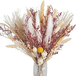 NAHUAA Dried Flower Bouquets Bunny Tails Pampas Grass Natural Dried Flowers Arrangements Wheat Ears Dried Swingers Grass for Vase Wedding Home Garden Party DIY Decoration