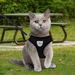 Kuber Industries Small Dog/Cat Chest Harness with Nylon Leash I No Pull, Soft Padded and Breathable Pet Vest I Adjustable, Reflective I Easy Control Pet Chest Belt I (XX-Small,Black)
