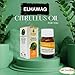 bonballoon Elhawag Handal Citrullus Oil Natural Undiluted Pure Hawag For Skin Care Al Hawaj Cold Pressed Premium No Additives No Gmo Kosher Halal (1 Pack = 1.01 oz / 30 ml) زيت الحنظل الحواج حلال