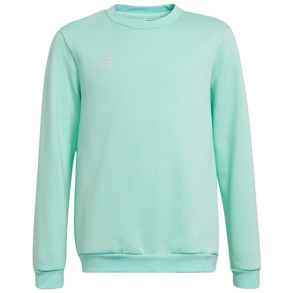 adidas Uniseks - dzieci Entrada 22 Sweat Top, Clear Mint, 11-12 Years