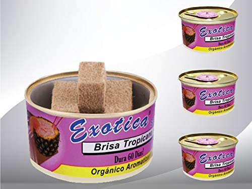 Car Air Freshener | Spill-Proof Can | Organic | for Home & Auto | Long Lasting Freshness | (Pack of 12) Tropical Breeze