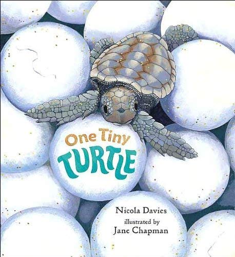 One Tiny Turtle 0439582903 Book Cover