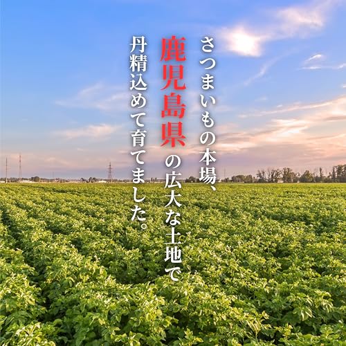 ノーブランド品 焼き芋 安納芋 1kg の商品画像 1
