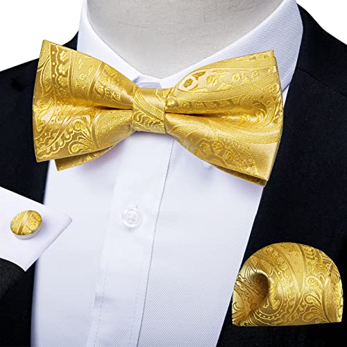 Image of DiBanGu Paisley Pre-Tied Bow Ties for Men Silk Adjustable Bowtie and Pocket Square Cufflinks for Wedding Party