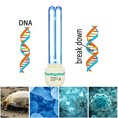 U-V-C Light 253.7nm Wavelength Bulb Lamp 36 Watt E27 Screw Socket 110 Volt - Thumbnail 6