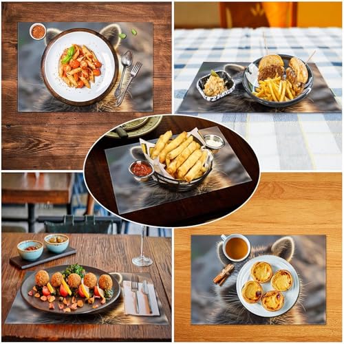 Sets de table en PVC imprimé raton laveur lavable et résistant - 6