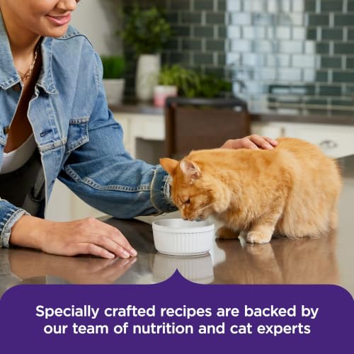 Nutrish Purrfect Broths Wet Cat Food Topper, 1.4 oz. Pouch (Rachael Ray) - image 5