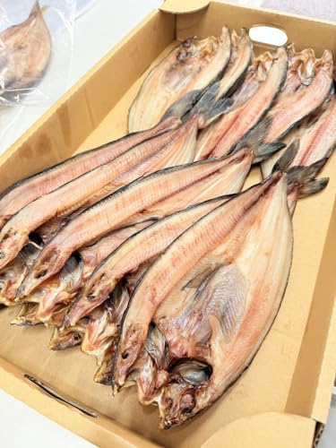 y Yd EIX z ^zbPJ 1300gO | kCY ^zbPJ JzbP zbPJ  (PO)