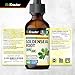 BIO KRAUTER® Goldenseal Root - Pure Vegan Goldenseal Tincture 670mg per Serving 2 Fl.Oz 28-Day Supply - Immune & Respiratory Support - Liquid Golden Seal for Digestive Support - Alcohol & Sugar Free