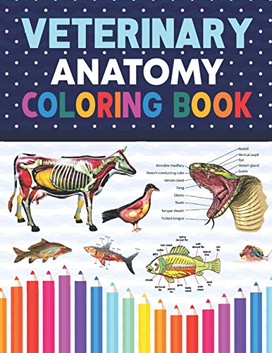 Veterinary Anatomy Coloring Book: Veterinary Physiology Animals Workbook and Coloring. Dog Cat Horse Frog Bird Anatomy Coloring book. Vet tech ... Veterinary & Zoology Anatomy Coloring Book.