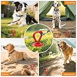 Große Hunde Anbindepfosten, Super Stark Hunde-Anker-Spike für Hundcamping, Anlegepflock zum Aushängen der Hunde Kabelkette im Garten, Hundespitze Hunde Anker für Kleine, Mittlere, Große Hunde