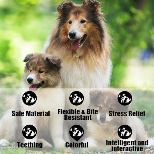 MOAZIFI 3 Stück Kaffeeholz für Hunde, Natürliches Kauholz, Robuster Kauknochen Groß mit Kauwurzel - Sicherer Kauspaß für kleine und große Hunde, hundespielzeug