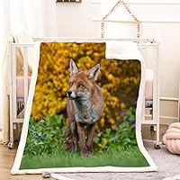 Couverture Polaire Motif Chat Du Bengal, Super Douce Et Confortable