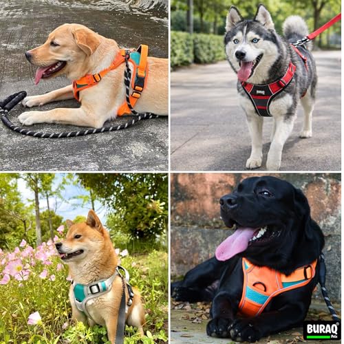 Image of Buraq Reflective Dog Harness with Leash, No-Pull Adjustable Belt Vest for Small, Medium & Large Dogs, Escape-Proof, Padded Training & Walking Harness (Red, L)